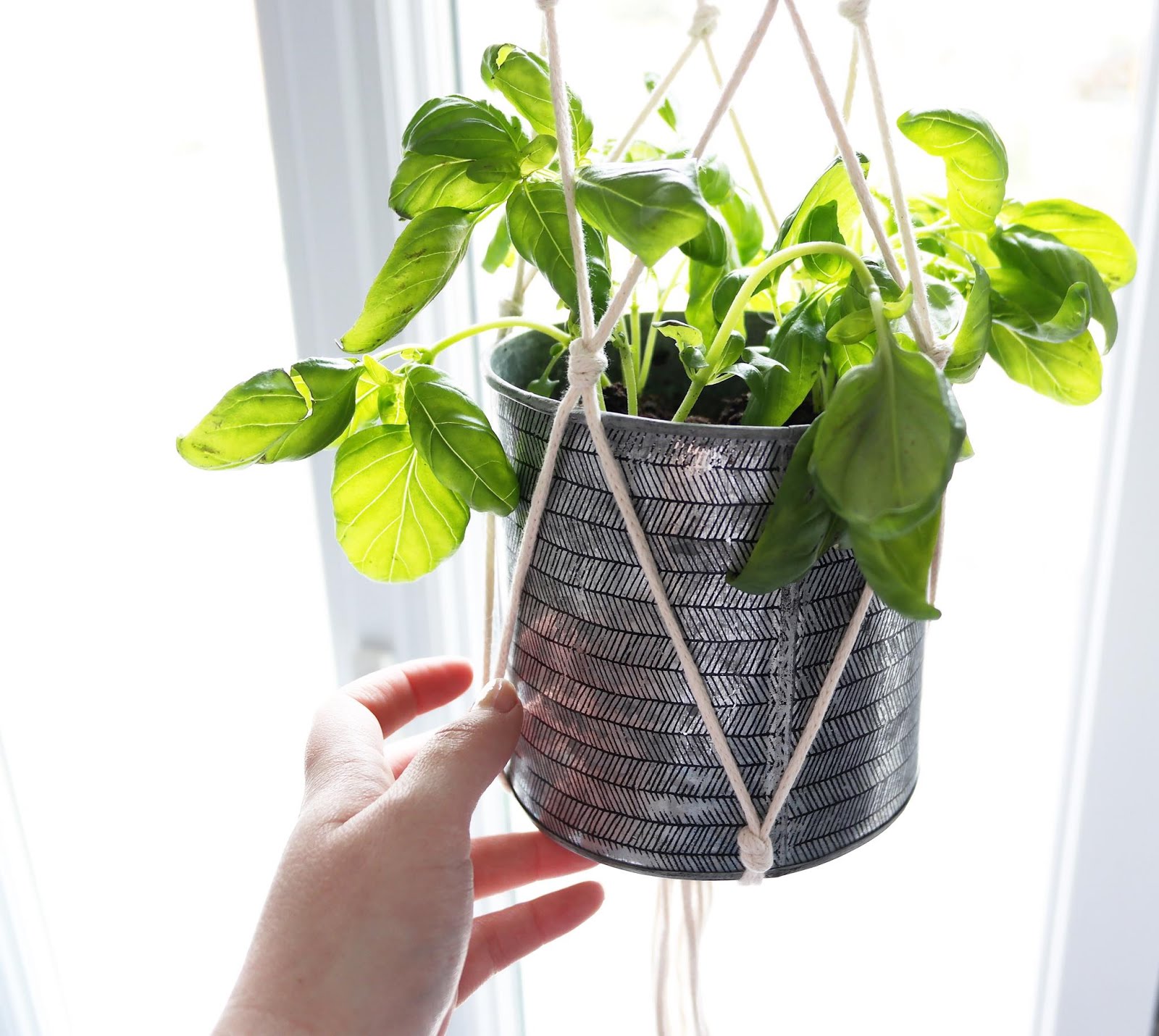 DIY SUSPENSION - PLANT HANGER - Stacey Stachetti