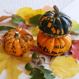 diy-citrouilles-deco-pumkins-paint-gold