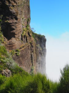 madère-madeira