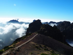 madère-madeira