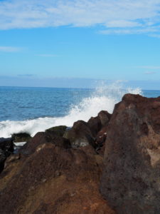 madère-madeira