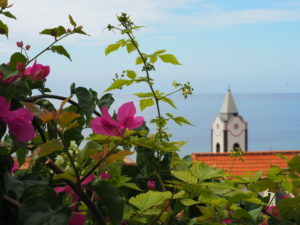 madère-madeira