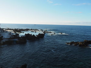 madère-madeira