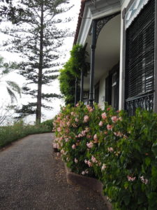 madère-madeira