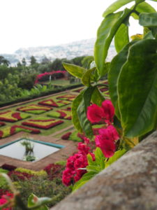 madère-madeira