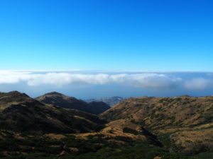 madère-madeira