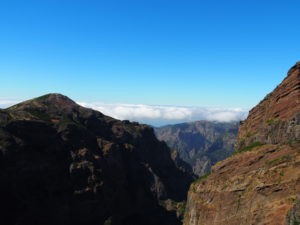 madère-madeira