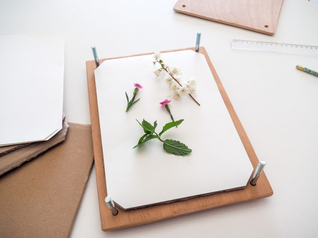 Kit Presse à Fleurs DIY Gift Republic - Créez Vos Œuvres Nature
