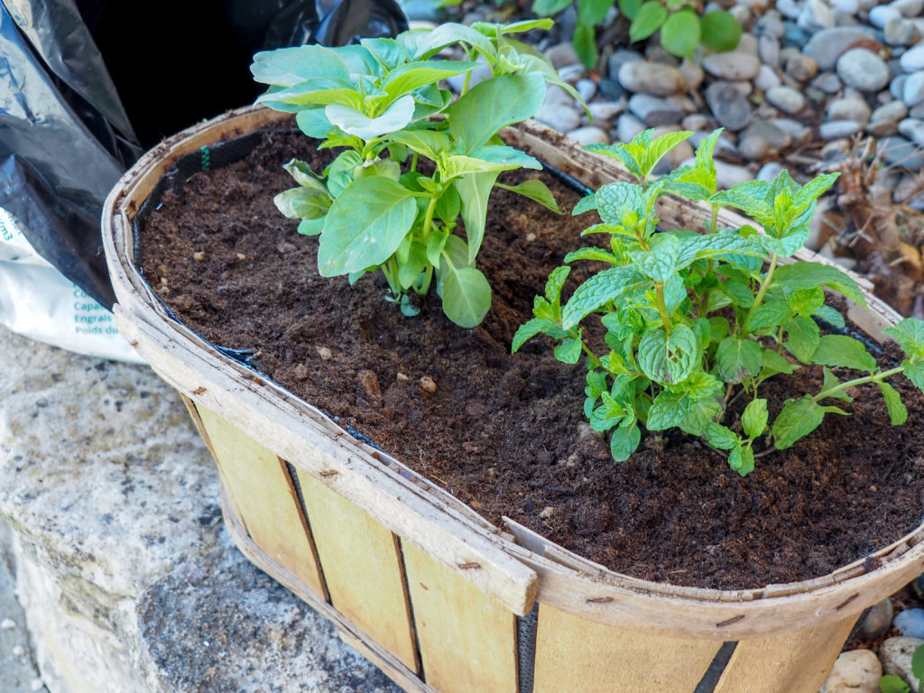 jardinière-cagette-ancienne-diy