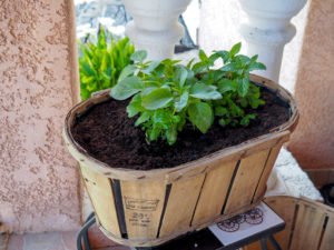 jardinière-cagette-ancienne-diy