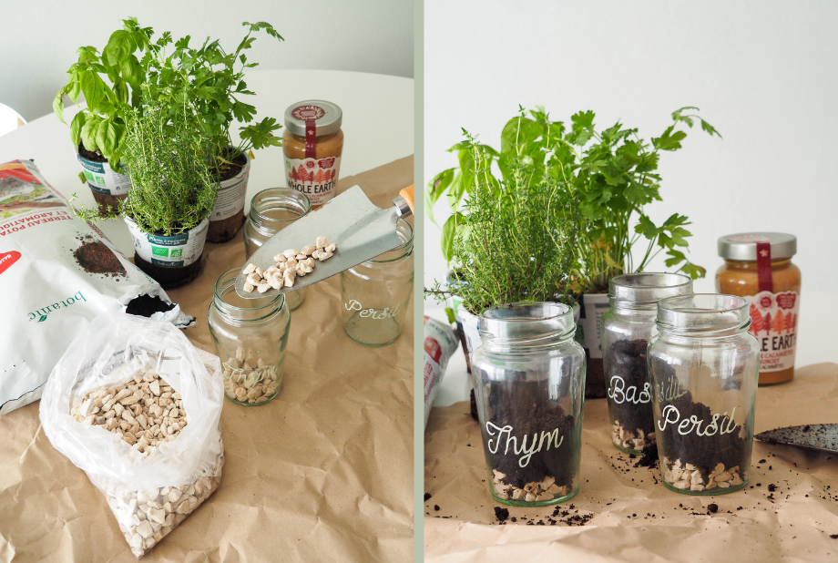 pots en verre whole earth